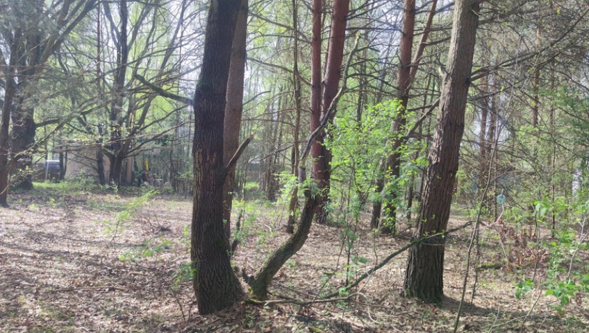 Działka Sprzedaż Wyględy